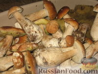 Фото приготовления рецепта: Маринованные белые грибы - шаг №1