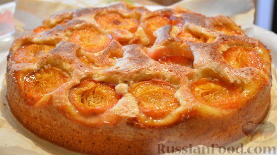 Фото к рецепту: Открытый пирог с абрикосами