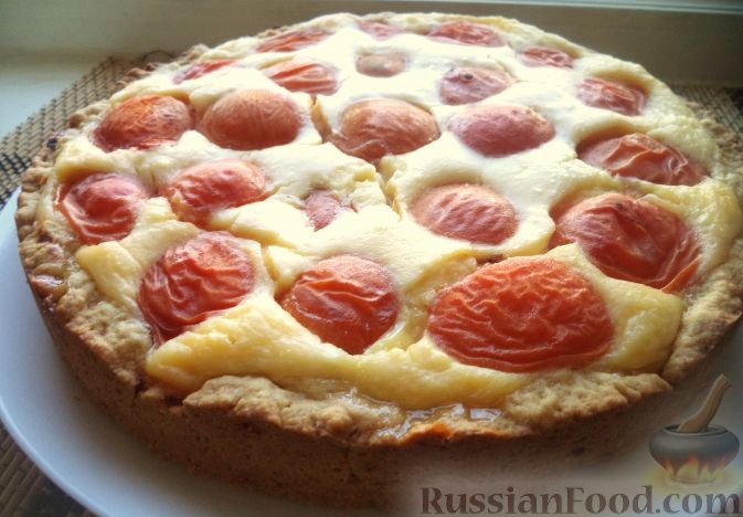 Фото к рецепту: Творожный пирог с абрикосами