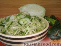 Фото к рецепту: Салат из капусты с огурцами и зеленью