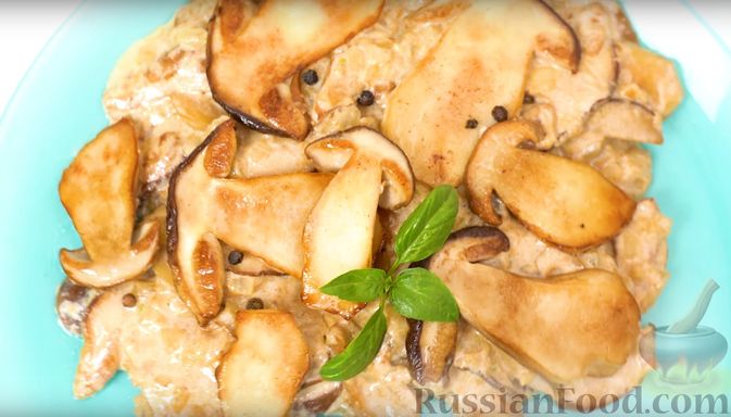 Как приготовить блюда из свежих белых грибов — рецепты и советы