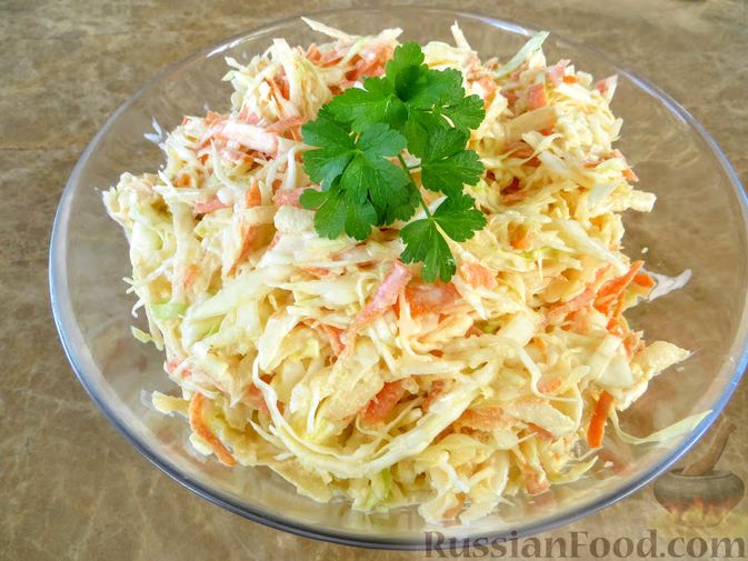 Салат из капусты с морковью – пошаговый рецепт приготовления с фото