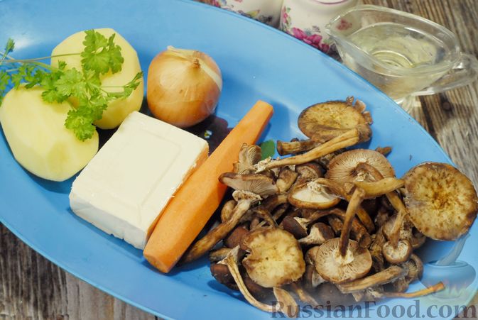 Фото приготовления рецепта: Суп с опятами и плавленым сыром - шаг №1