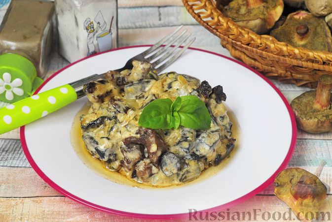 Фото к рецепту: Говядина, тушенная с лесными грибами, маринованными огурцами, коньяком и йогуртом