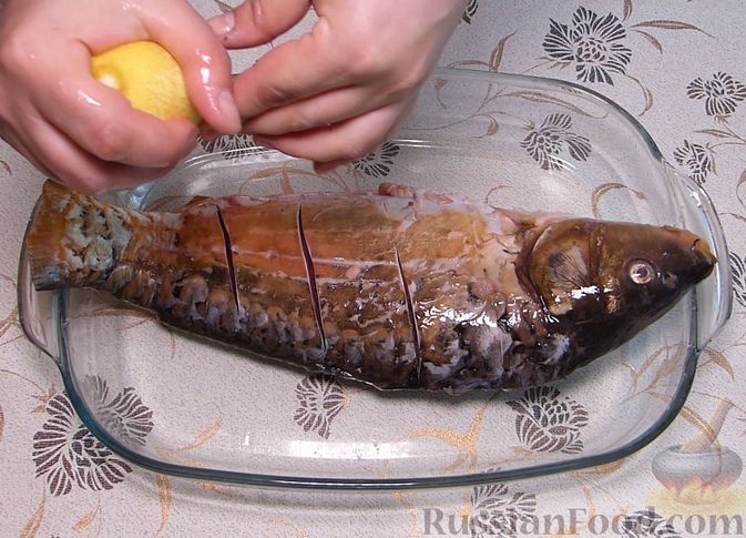 Фото приготовления рецепта: Карп, запечённый с морковью, луком и маринованными огурцами - шаг №2