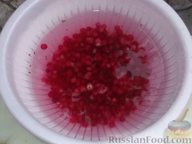 Фото приготовления рецепта: Красная смородина, протертая с сахаром - шаг №2