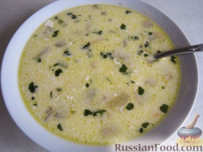 Рецепт Грибной сливочный суп