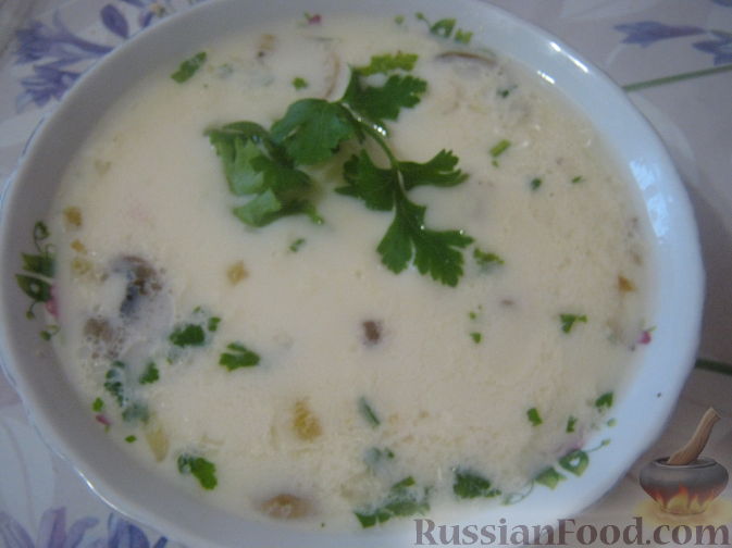 Рецепт Суп сырный с шампиньонами