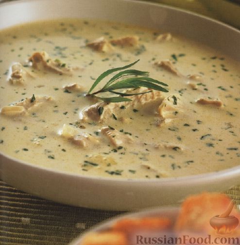 Рецепт Куриный суп с эстрагоном