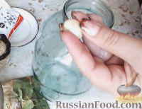 Фото приготовления рецепта: Консервированные огурчики на зиму - шаг №1