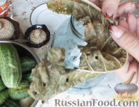 Фото приготовления рецепта: Консервированные огурчики на зиму - шаг №4
