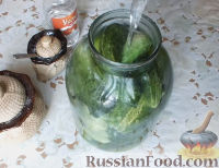 Фото приготовления рецепта: Консервированные огурчики на зиму - шаг №6