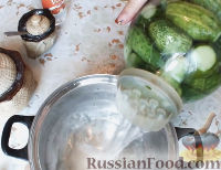 Фото приготовления рецепта: Консервированные огурчики на зиму - шаг №8