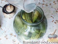 Фото приготовления рецепта: Консервированные огурчики на зиму - шаг №12