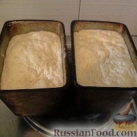 Фото приготовления рецепта: Домашний хлеб на сухих дрожжах - шаг №9