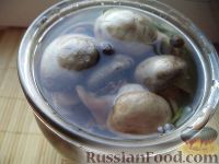 Фото приготовления рецепта: Маринад для грибов - шаг №5