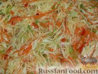 Фото к рецепту: Салат из капусты "Витаминный"