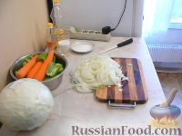 Фото приготовления рецепта: Салат из капусты "Витаминный" - шаг №2