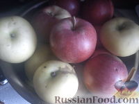 Фото приготовления рецепта: Яблоки печеные - шаг №1