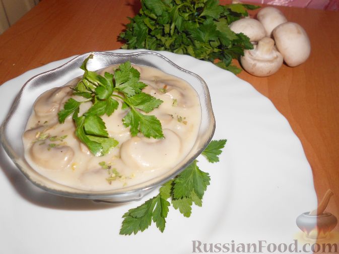 Грибной соус из шампиньонов: пошаговый рецепт с фото