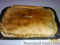 Фото приготовления рецепта: Бабушкин пирог с курицей "Туды-сюды" - шаг №17