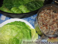 Фото приготовления рецепта: Запеченные голубцы из молодой капусты - шаг №3