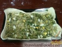Фото приготовления рецепта: Кулебяка с капустой - шаг №12