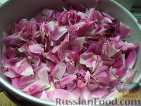 Фото приготовления рецепта: Сироп из лепестков роз - шаг №2