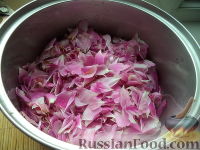 Фото приготовления рецепта: Сироп из лепестков роз - шаг №3