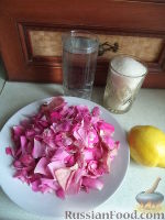 Фото приготовления рецепта: Сироп из лепестков роз - шаг №1