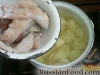 Фото приготовления рецепта: Уха из судака - шаг №10