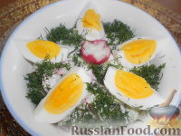 Фото к рецепту: Салат из редиса с огурцами и со сметаной