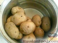 Фото приготовления рецепта: Запеканка картофельная со щавелем - шаг №2