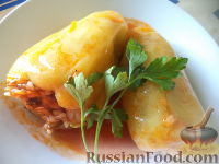 Фото к рецепту: Болгарский перец, фаршированный рисом и грибами