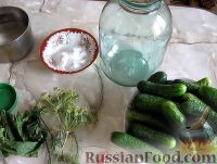 Фото приготовления рецепта: Огурцы соленые (холодный способ) - шаг №1