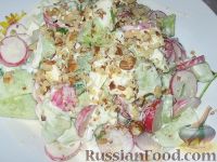 Фото к рецепту: Салат с орехами и редиской