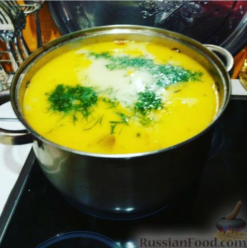 Ароматный и быстрый: сырный суп с плавленым сыром и копченой курицей