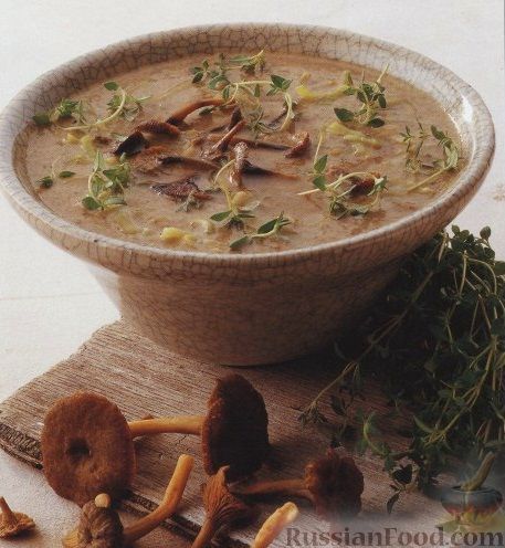 Рецепт Грибной суп