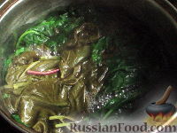 Фото приготовления рецепта: Ботвинья - шаг №4