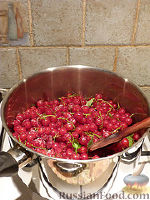 Фото приготовления рецепта: Желе из красной смородины - шаг №1