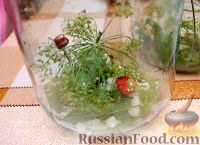 Фото приготовления рецепта: Рецепт консервации огурцов - шаг №1