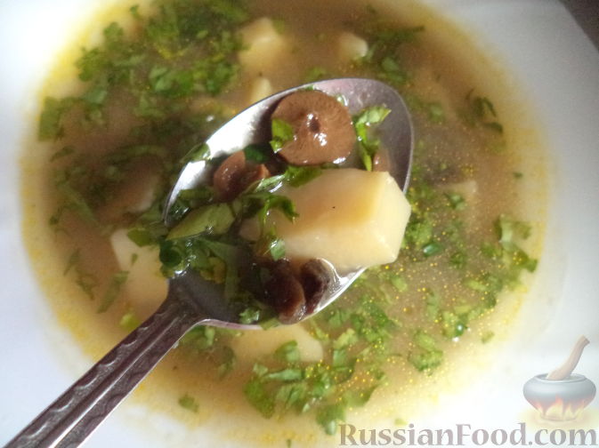 Суп из замороженных белых грибов с перловкой