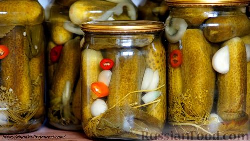 Соленые огурцы с чесноком – пошаговый рецепт приготовления с фото