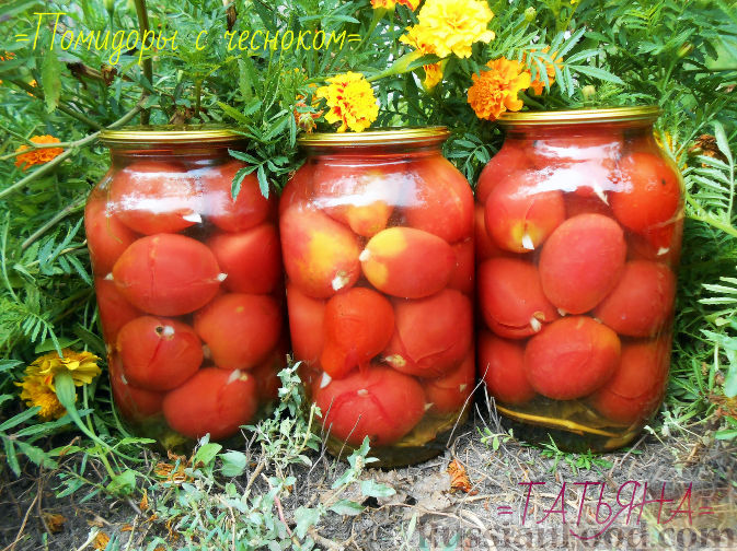 Консервированные помидоры с чесноком 