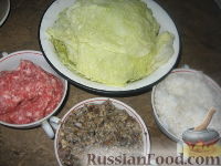 Фото приготовления рецепта: Голубцы из савойской капусты с грибами - шаг №1