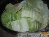 Фото приготовления рецепта: Голубцы из савойской капусты с грибами - шаг №5