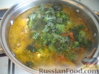 Фото приготовления рецепта: Куриный суп с брокколи - шаг №11