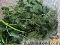 Фото приготовления рецепта: Салат с крапивой и зеленым луком - шаг №2