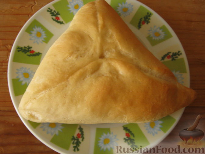Самса с курицей рецепт – Татарская кухня: Выпечка и десерты. «Еда»