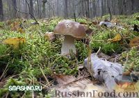 Фото приготовления рецепта: Салат с грибами на зиму - шаг №1